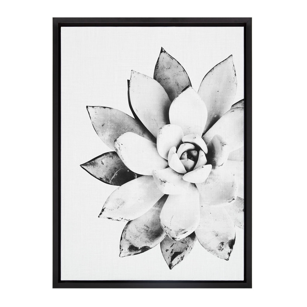 Black Framed Canvas D220