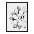 Black Framed Canvas D220