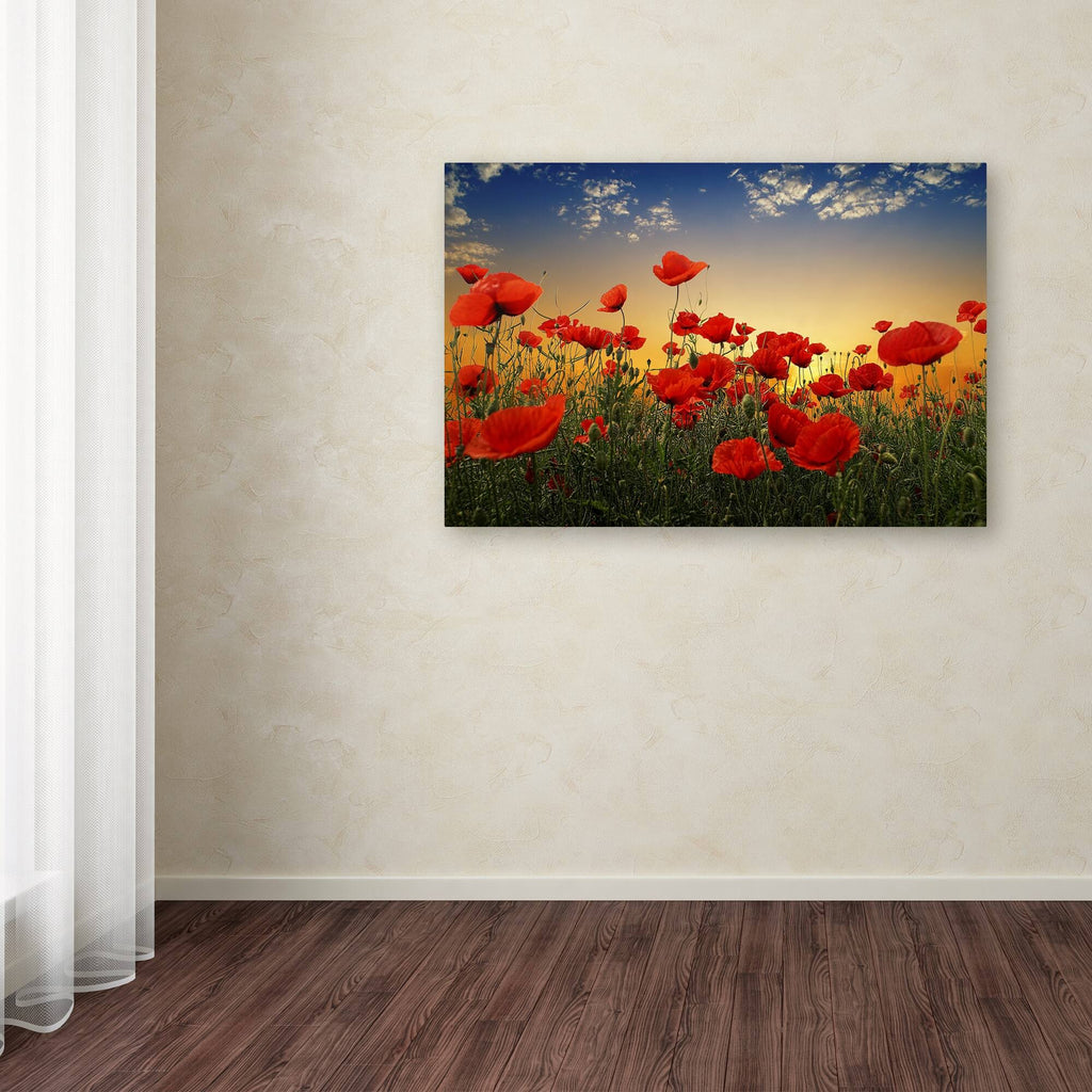Albena Markova Poppies Canvas Art G853