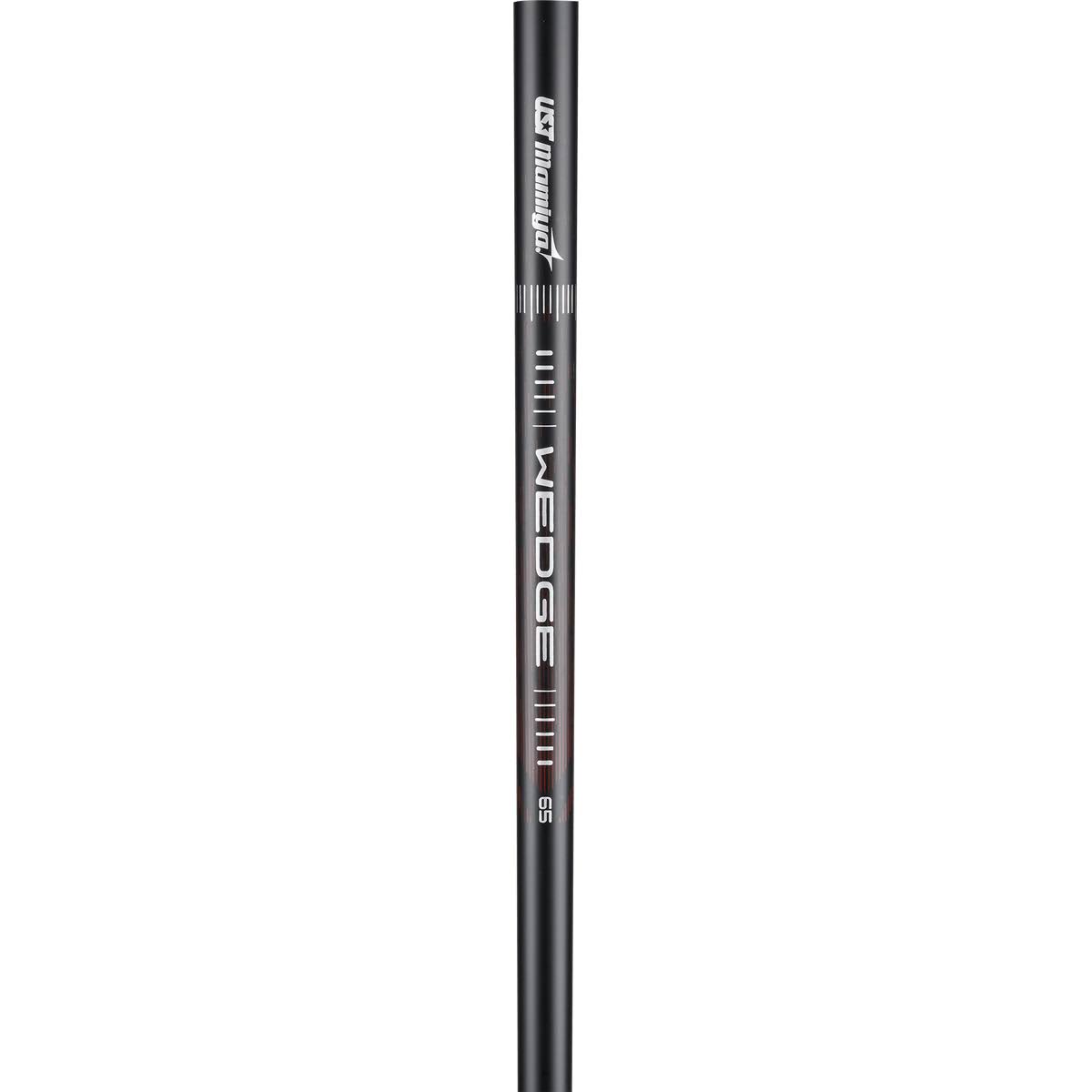Wedge X176404