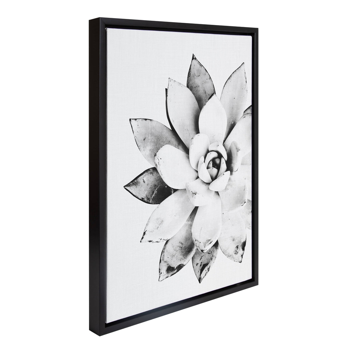 Black Framed Canvas D220
