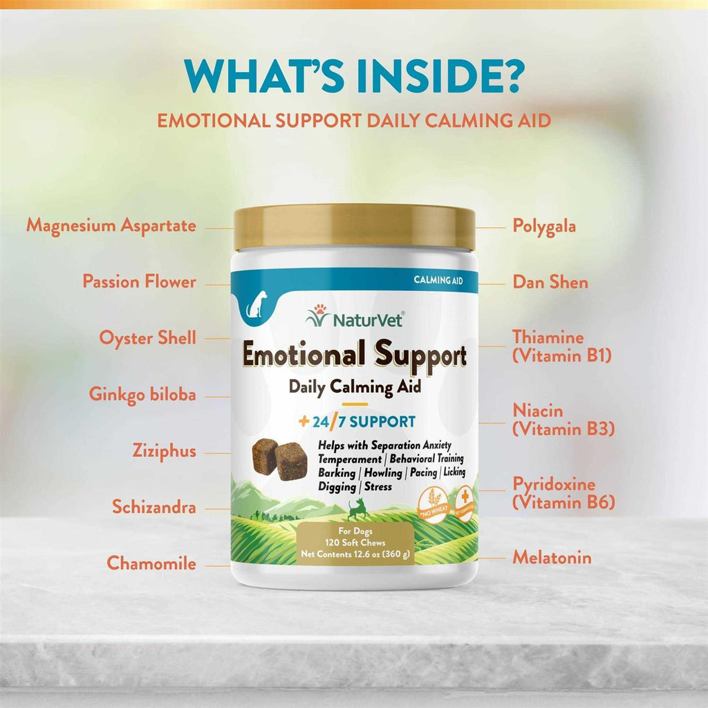 Daily Calming Aid S384