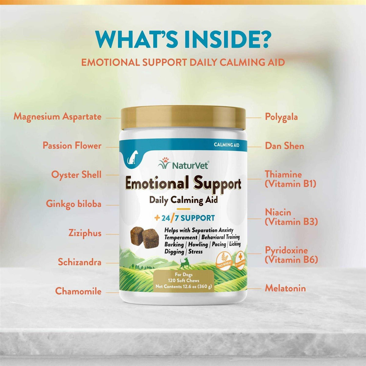 Daily Calming Aid S384