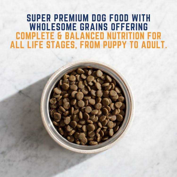 Chicken & Salmon Formula Wet Dog Food T809318