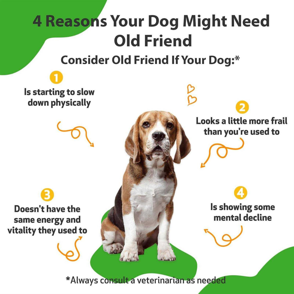 Old Friend for Senior Dogs Z39554
