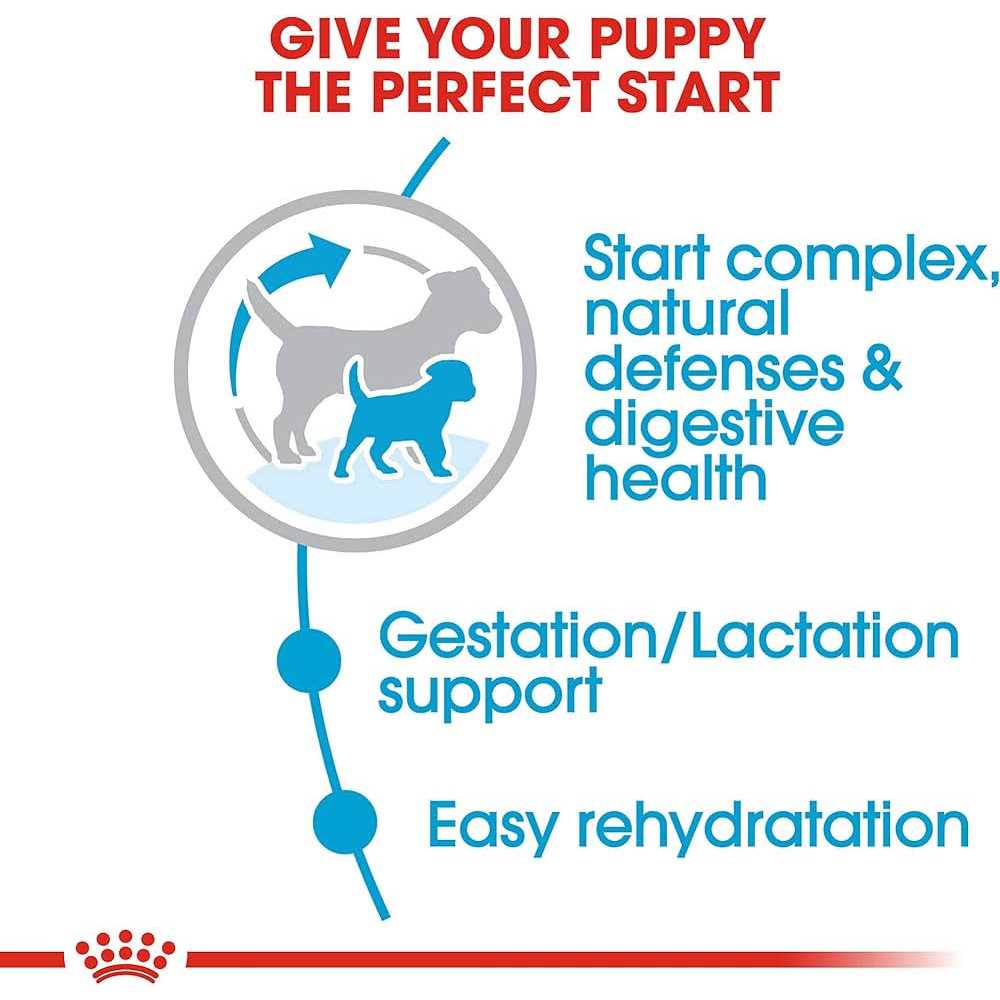 Small Starter Dry Dog Food U57736