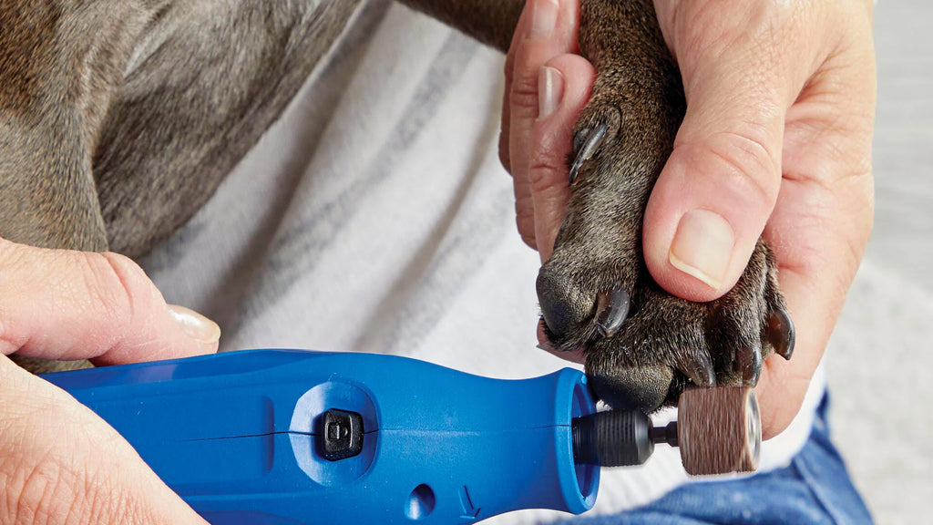 4V Pet Nail Grinder and Trimmer Grooming Kit Q500