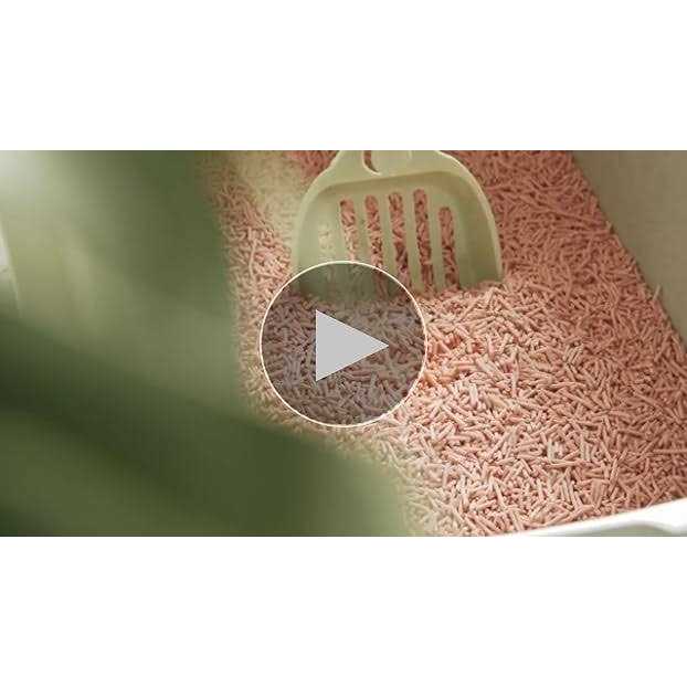 Tofu Cat Litter Clumping X401295