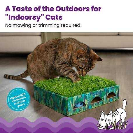Grass Patch Cat Toy A564