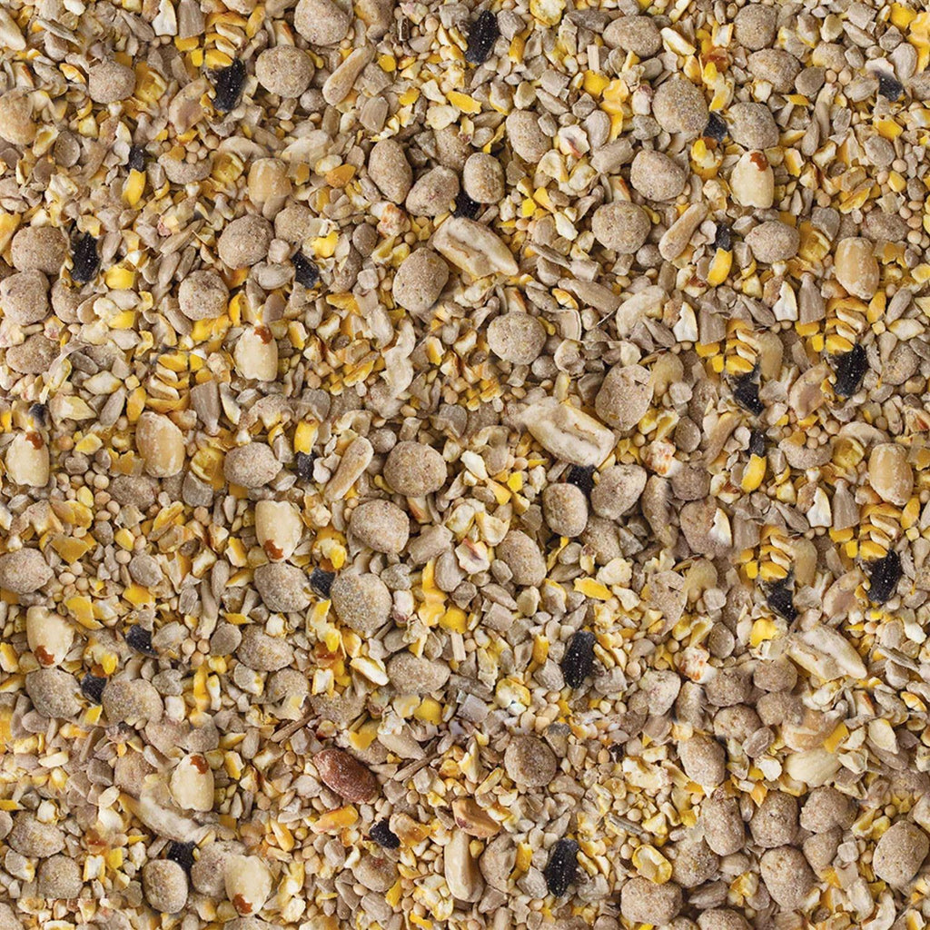 Seed & Suet Bird Food D467