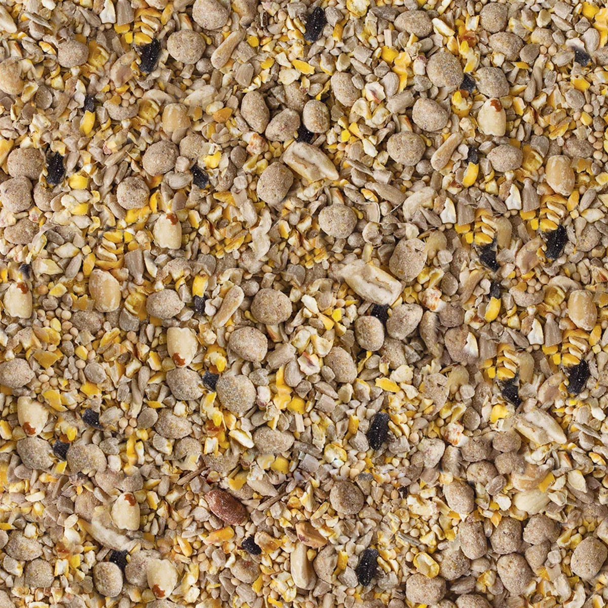 Seed & Suet Bird Food D467