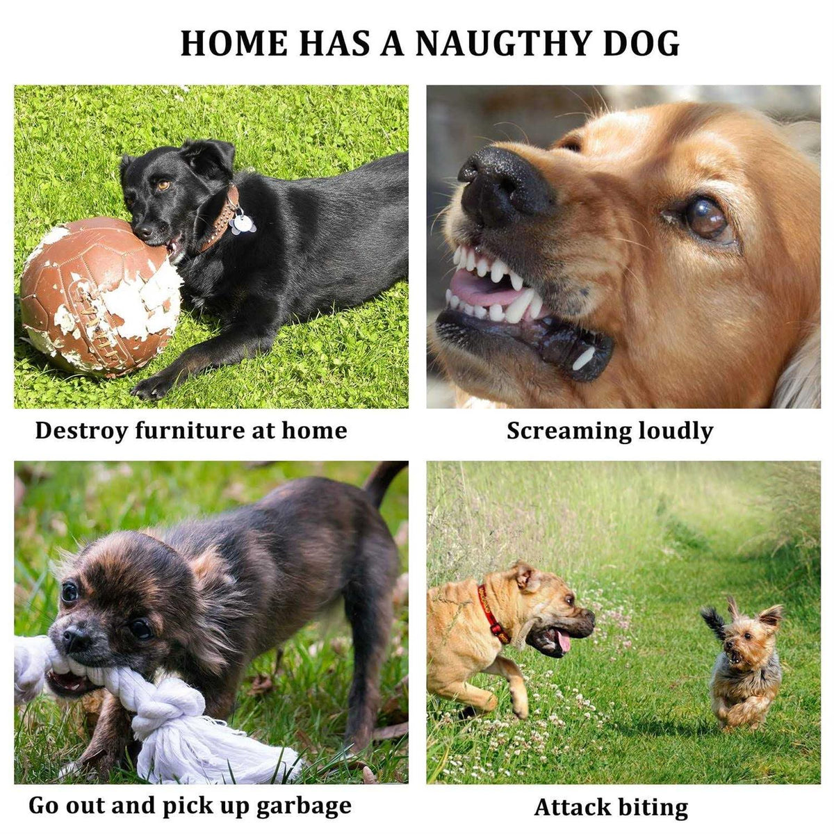 3pcs Silicone Dog Muzzle Adjustable V195