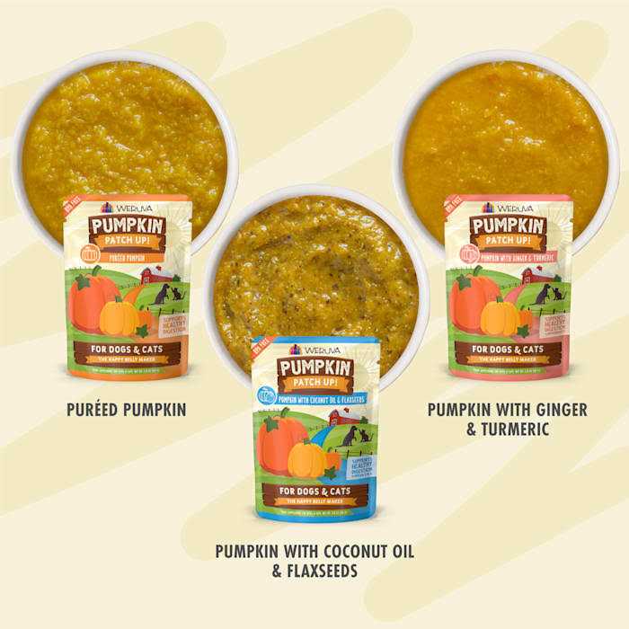 Pumpkin Patch Up B2269