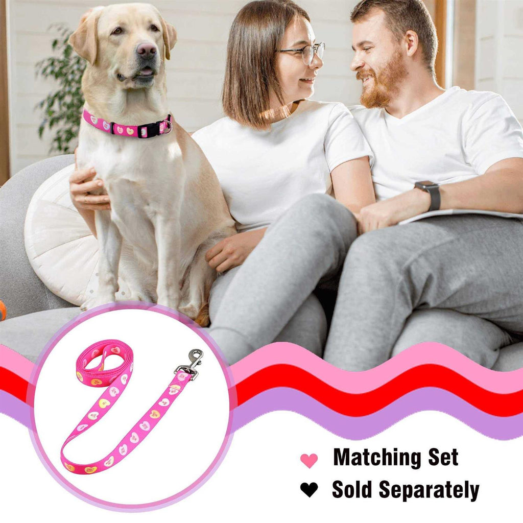 Valentines Day Heart Dog Collar K853043