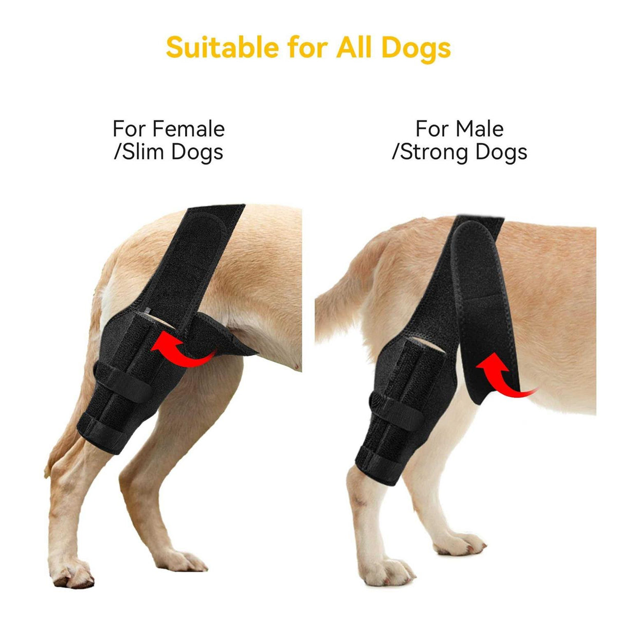 Dog Knee Brace for ACL Cruciate Ligament Injury N42907