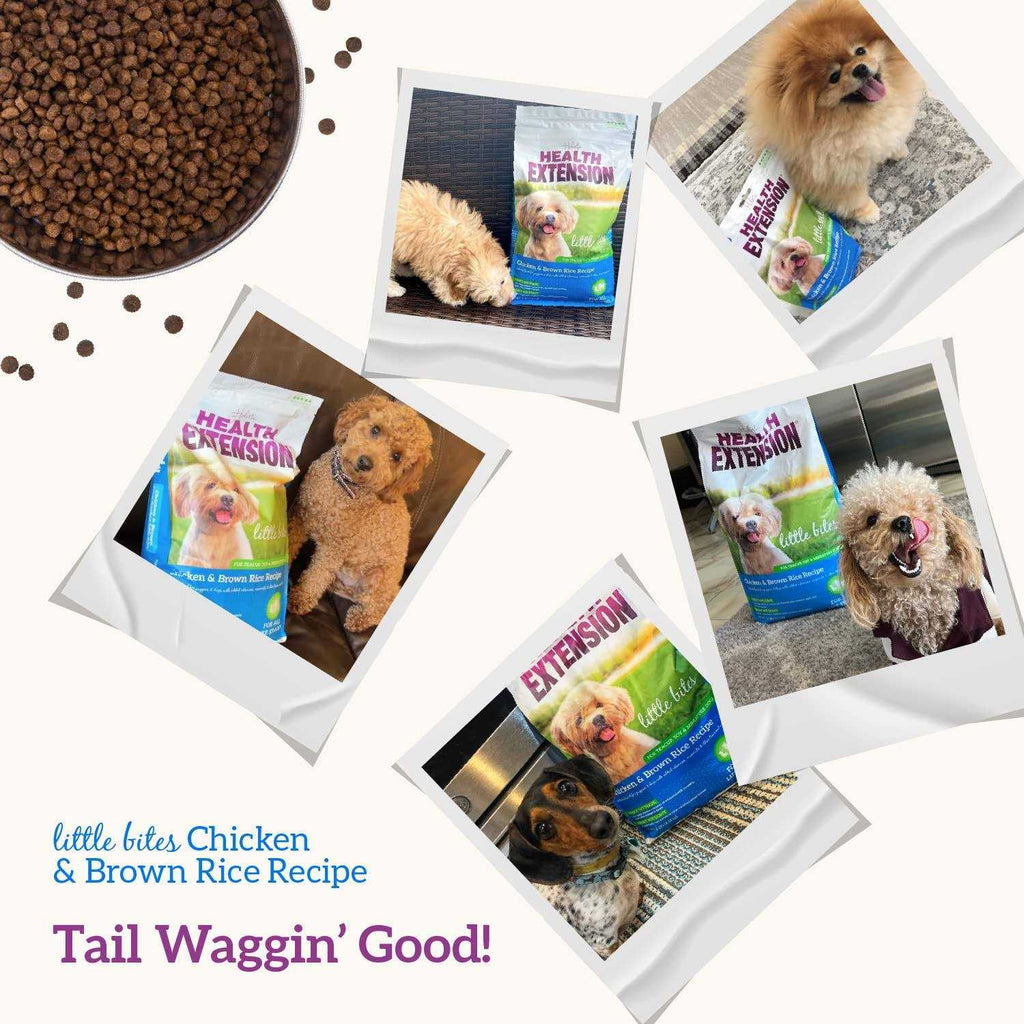 Chicken & Brown Rice Dry Dog Food E18032