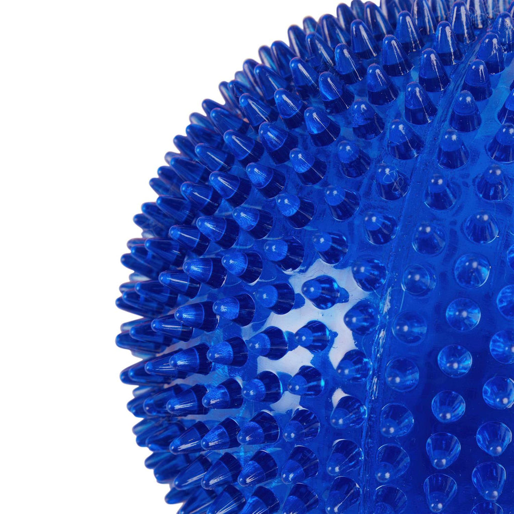 Spiny Ball Dog Chew Toy I37796