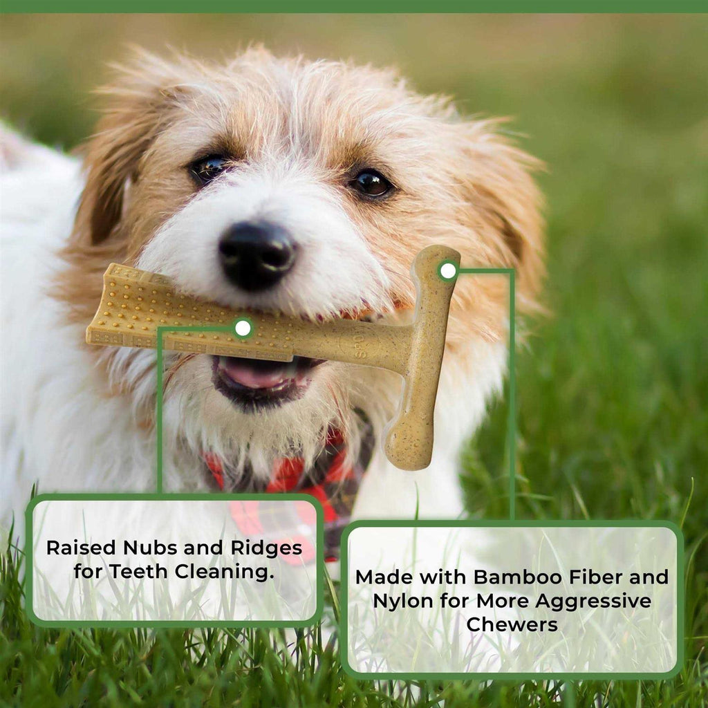 6-inch Chicken Dog Chew D2535