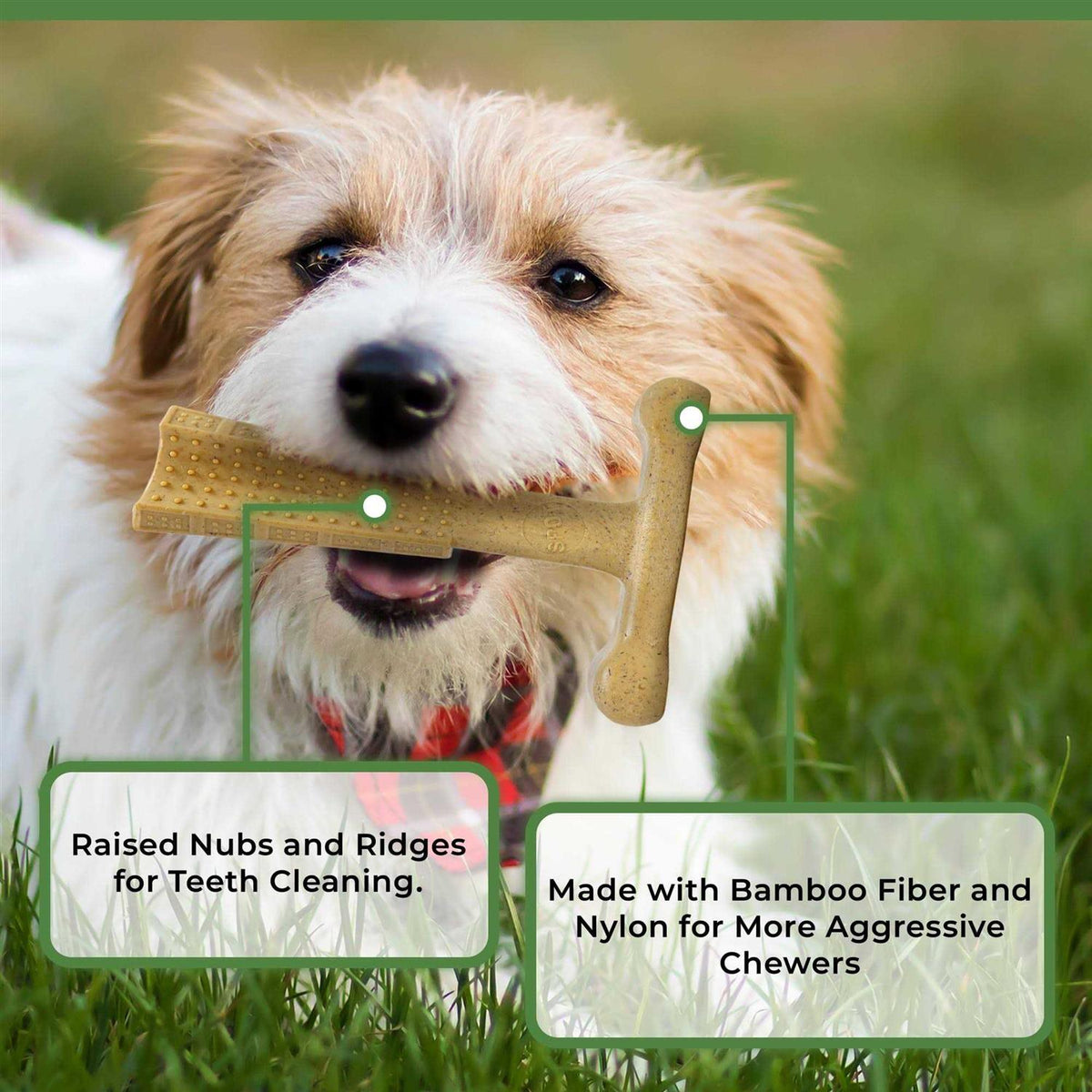 6-inch Chicken Dog Chew D2535