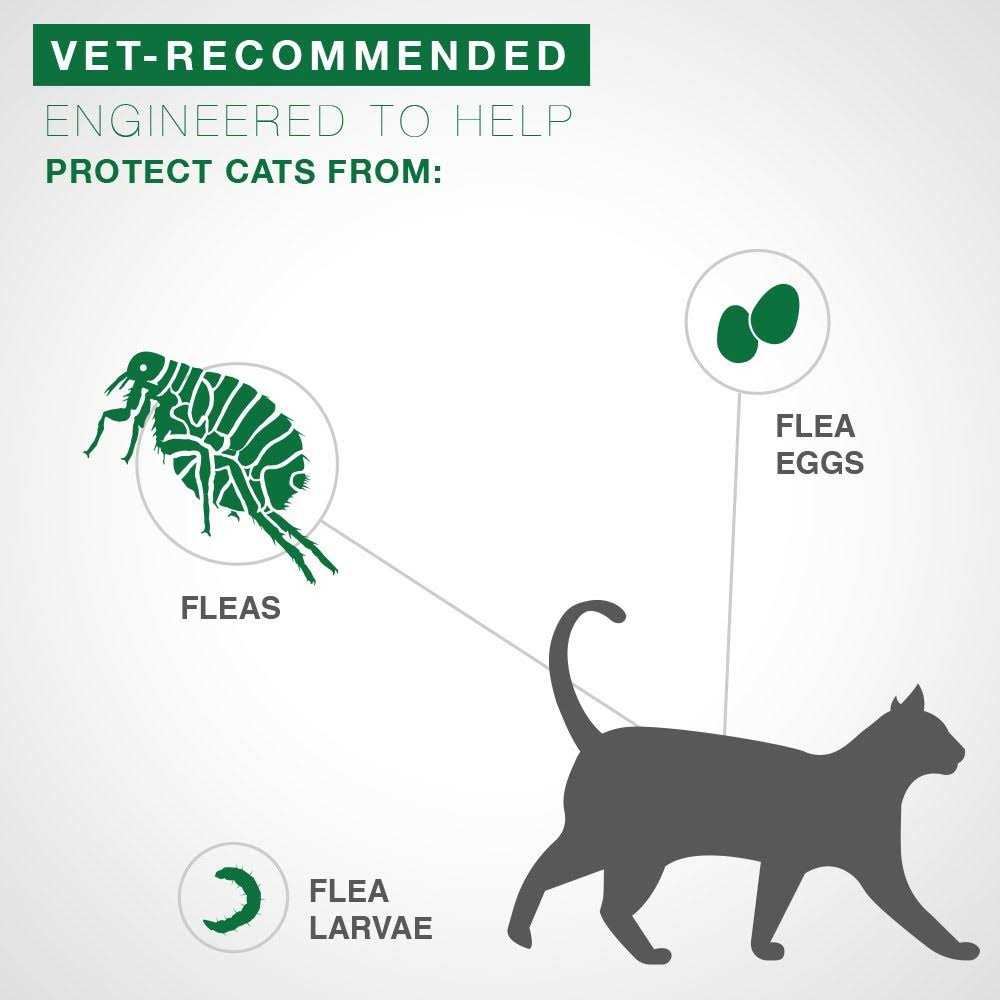 Flea Treatment for Kittens N716