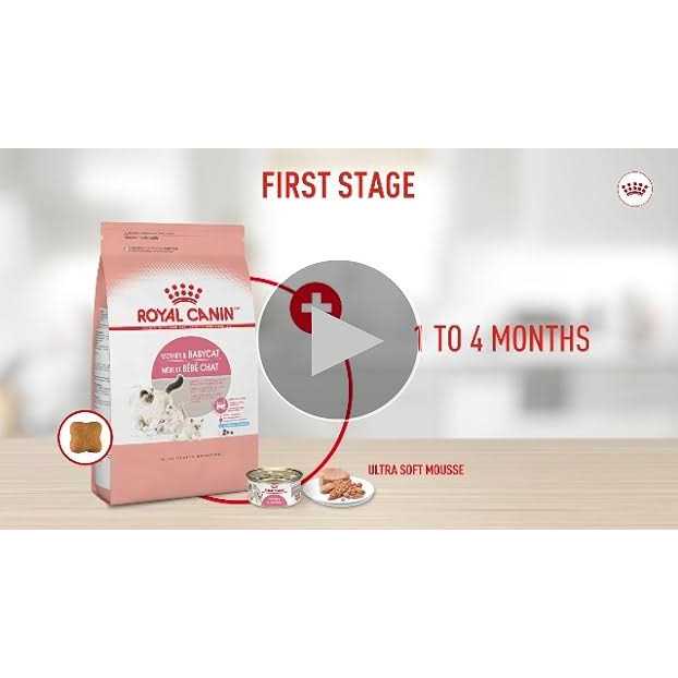 Persian Kitten Dry Cat Food V4148