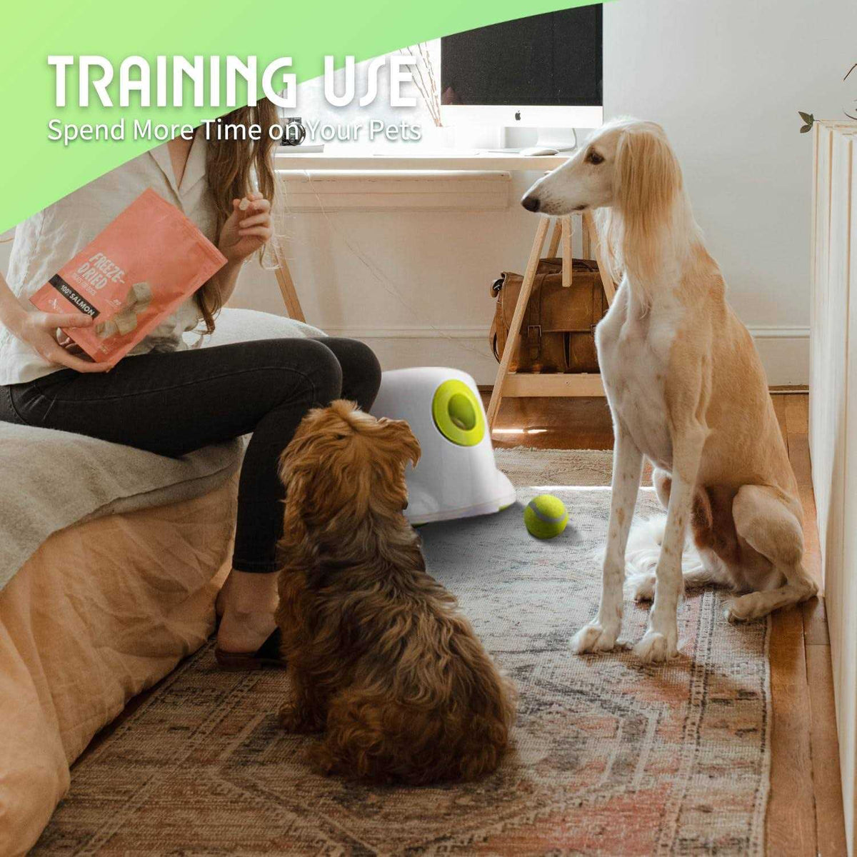Automatic Ball Launcher for Dogs with 3 Tennis Balls L8528