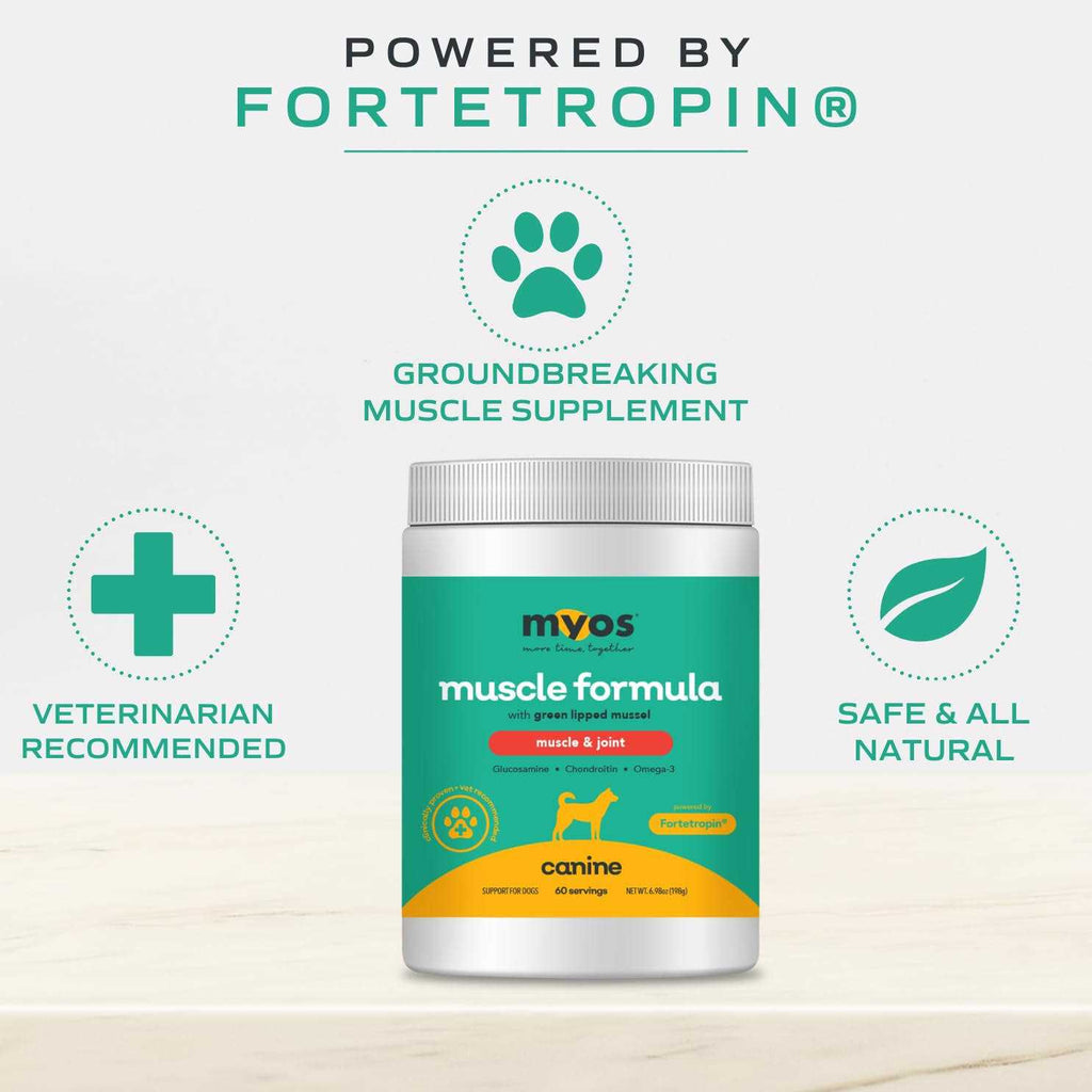 Dog Supplement with Green Lipped Mussel Powder X737