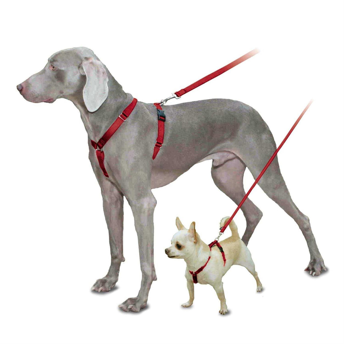 Sure-Fit Harness G15265