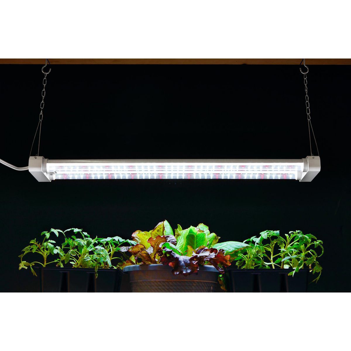19 Watt 2 ft. Full Spectrum LED Grow Light F65674