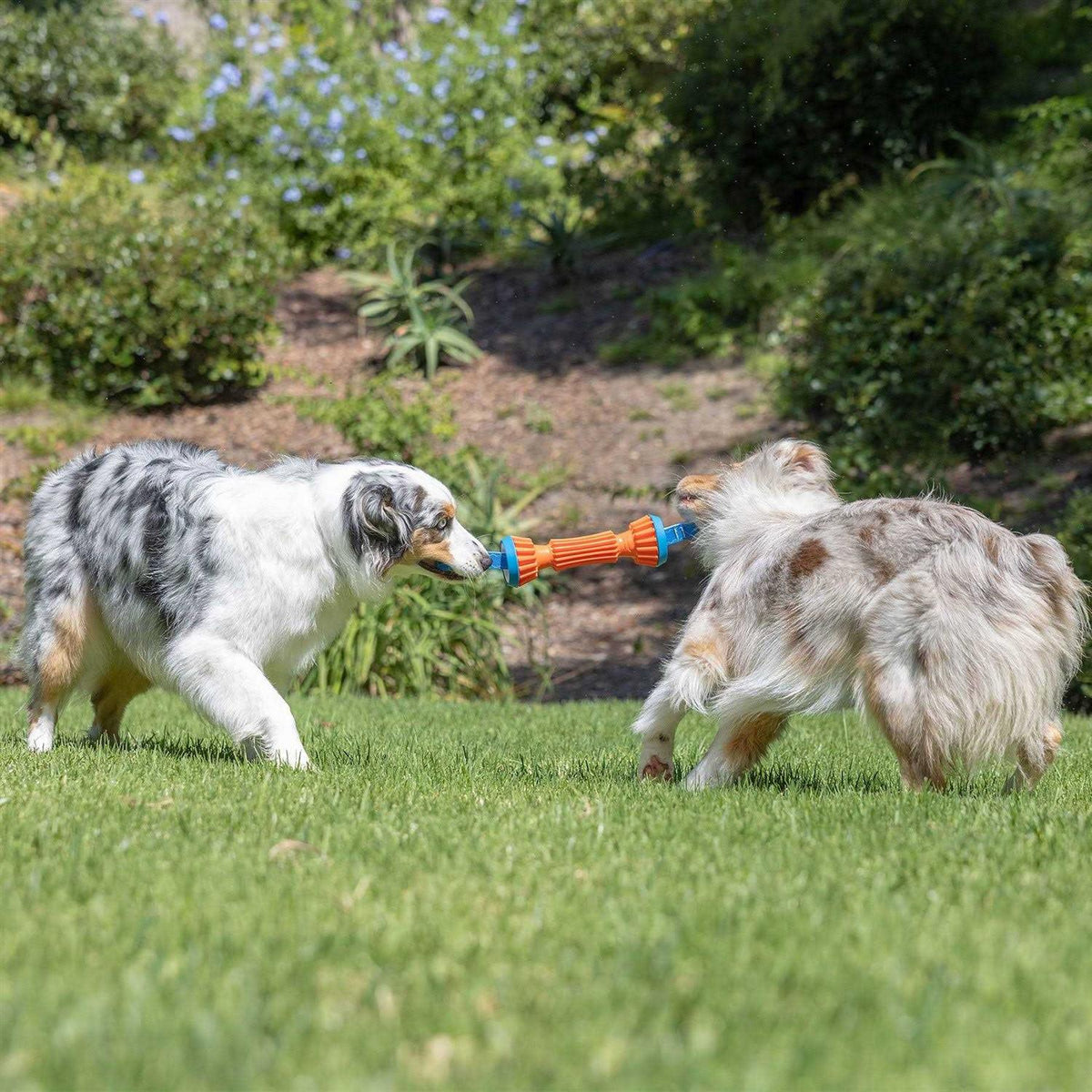 Rugged Bumper Dog Toy S2259