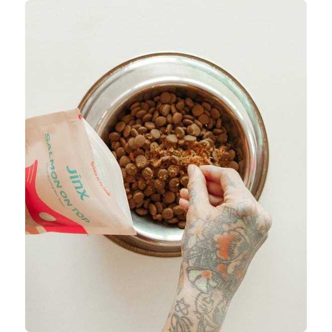 Freeze Dried Salmon Dog Food Topper W4898