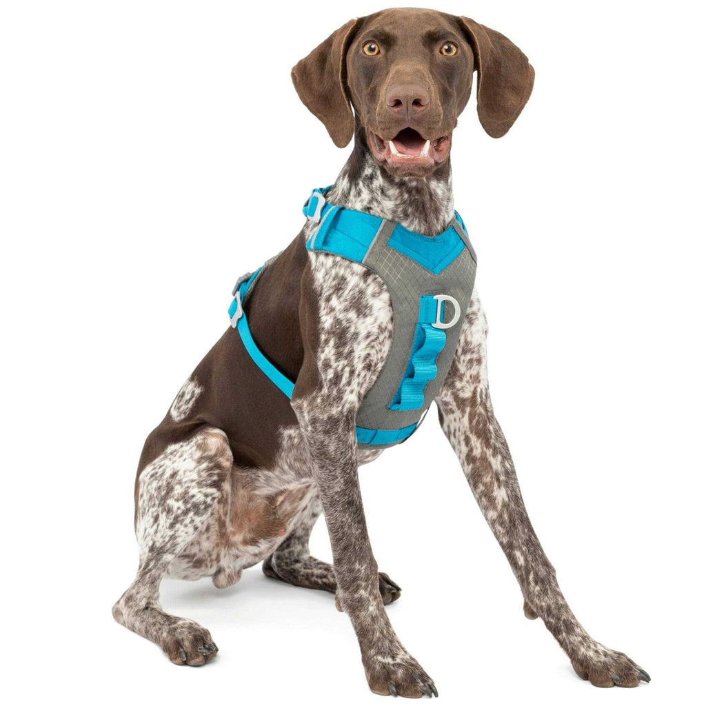 Dog Harness O535