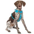 Dog Harness O535