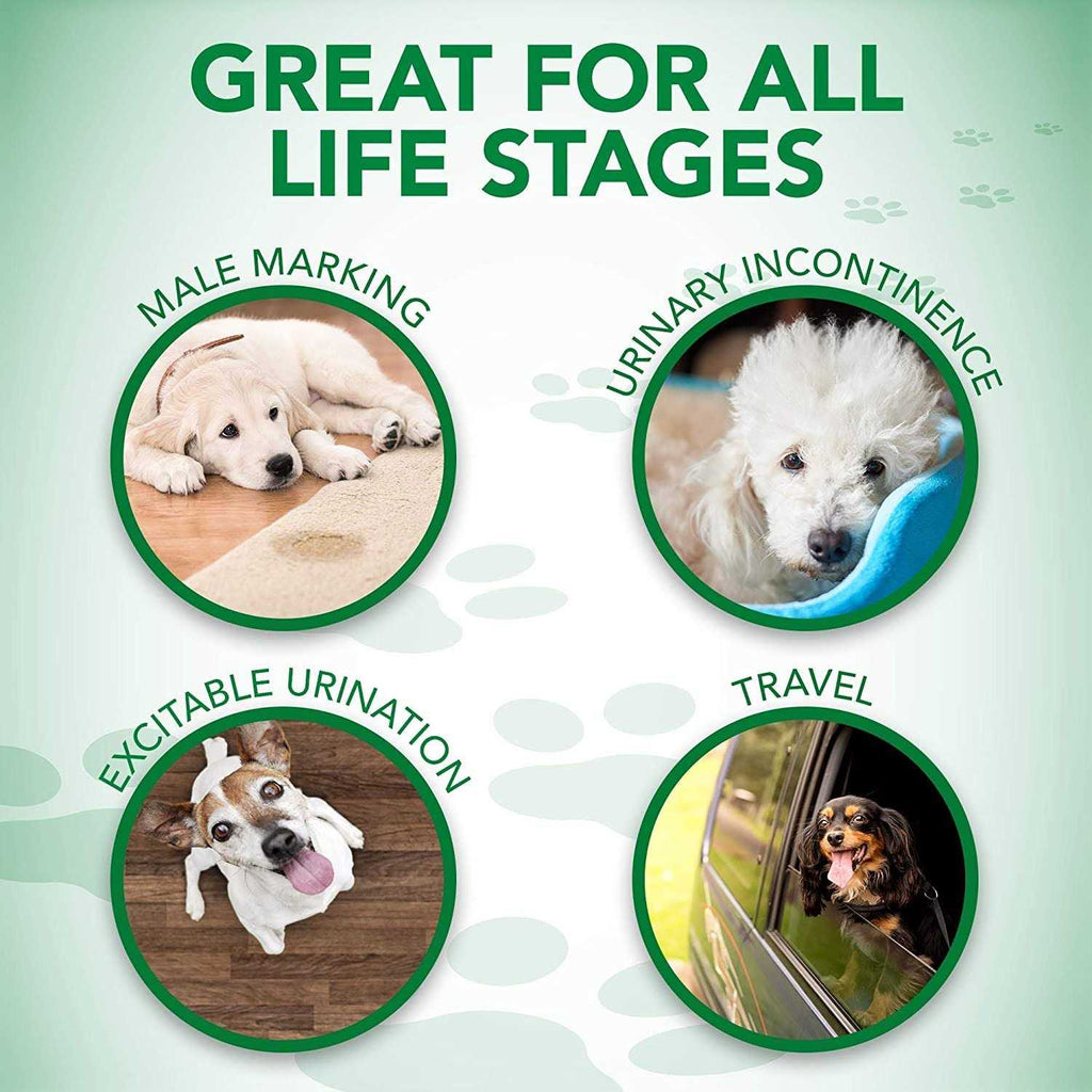 Disposable Male Dog Wraps C969