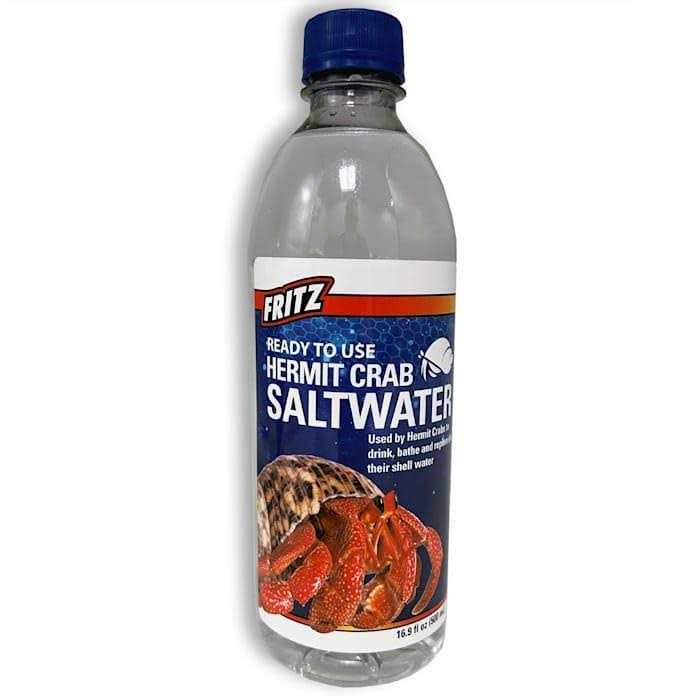 Hermit Crab Salt Water W319608