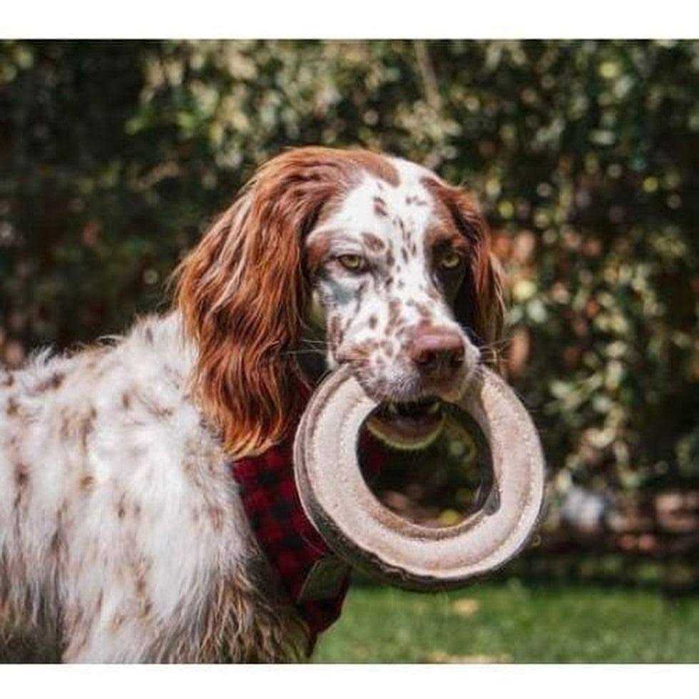 Natural Leather Dog Toy Y49380