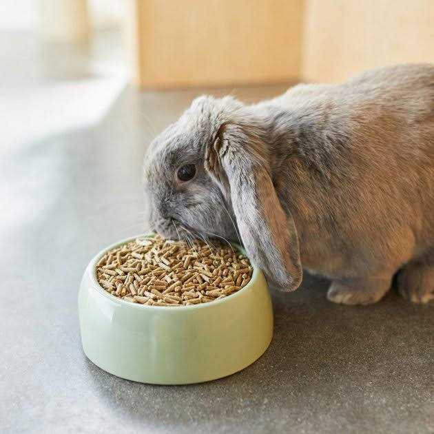 Timothy Based Rabbit Food M380