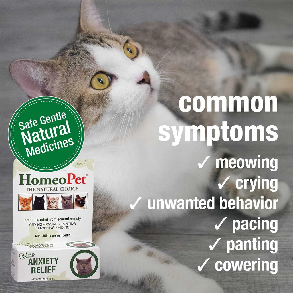 Feline Anxiety Relief S137828