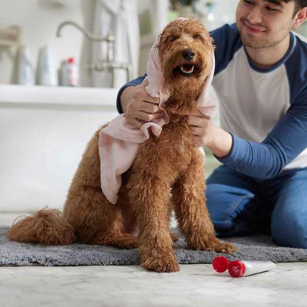 Oatmeal Dog Conditioner 6 oz Sulfate & Paraben Free V4887
