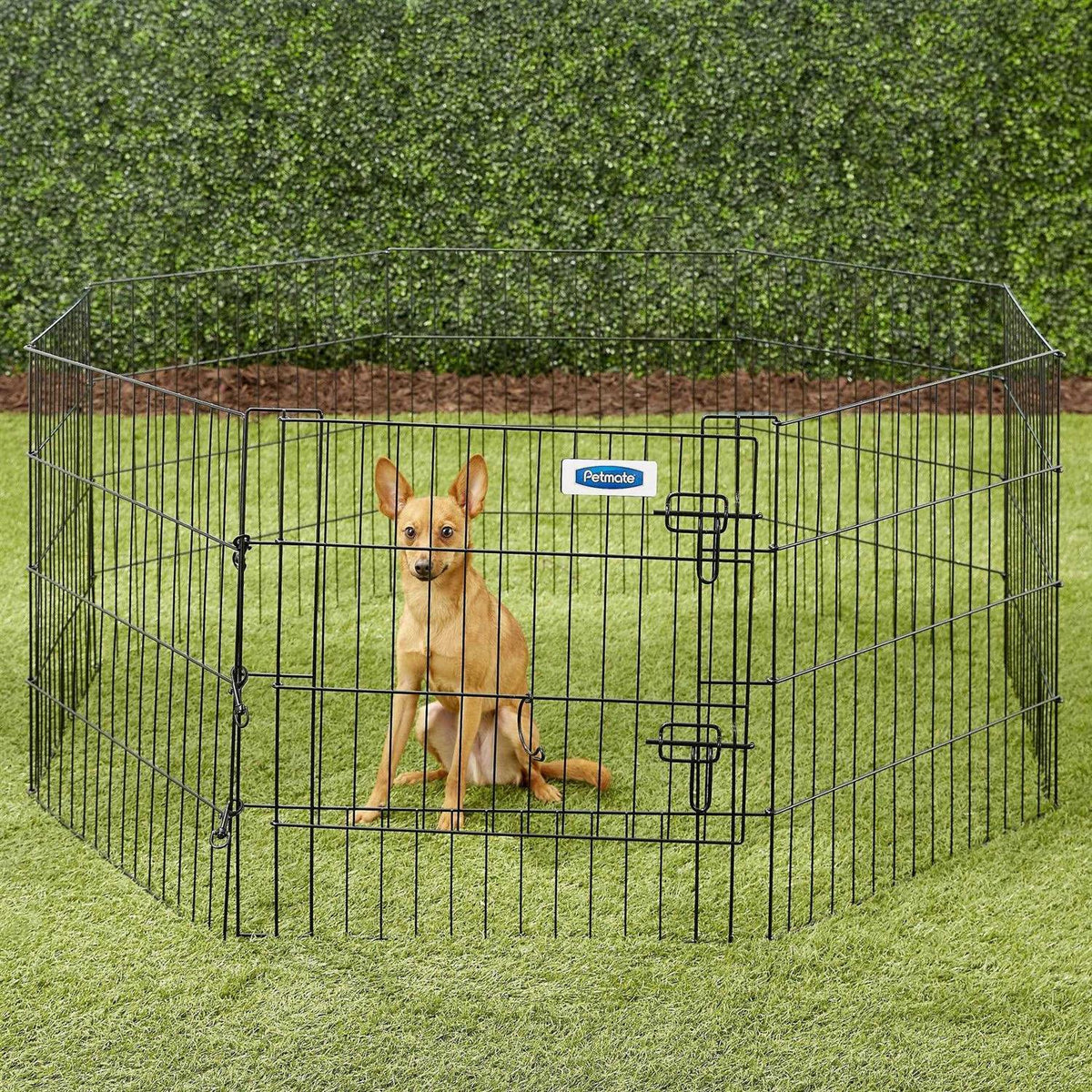 Exercise Pen with Door W424793