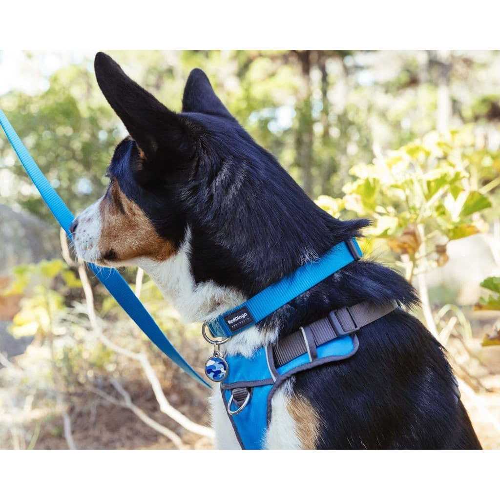 Padded Dog Harness W5968