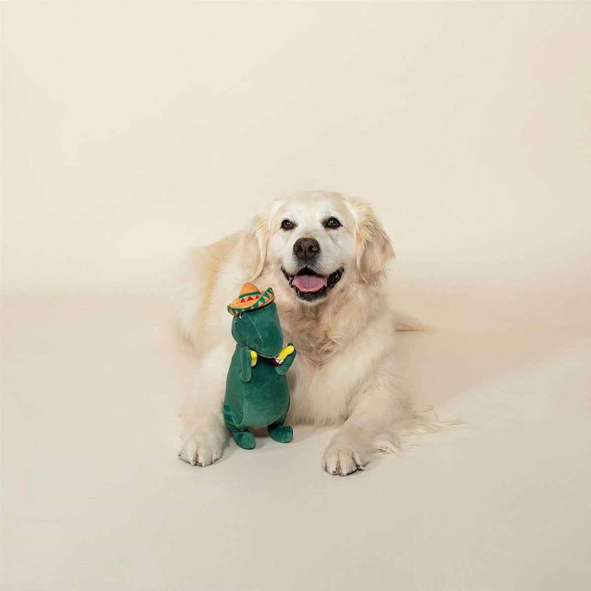 Dog Toy H840340