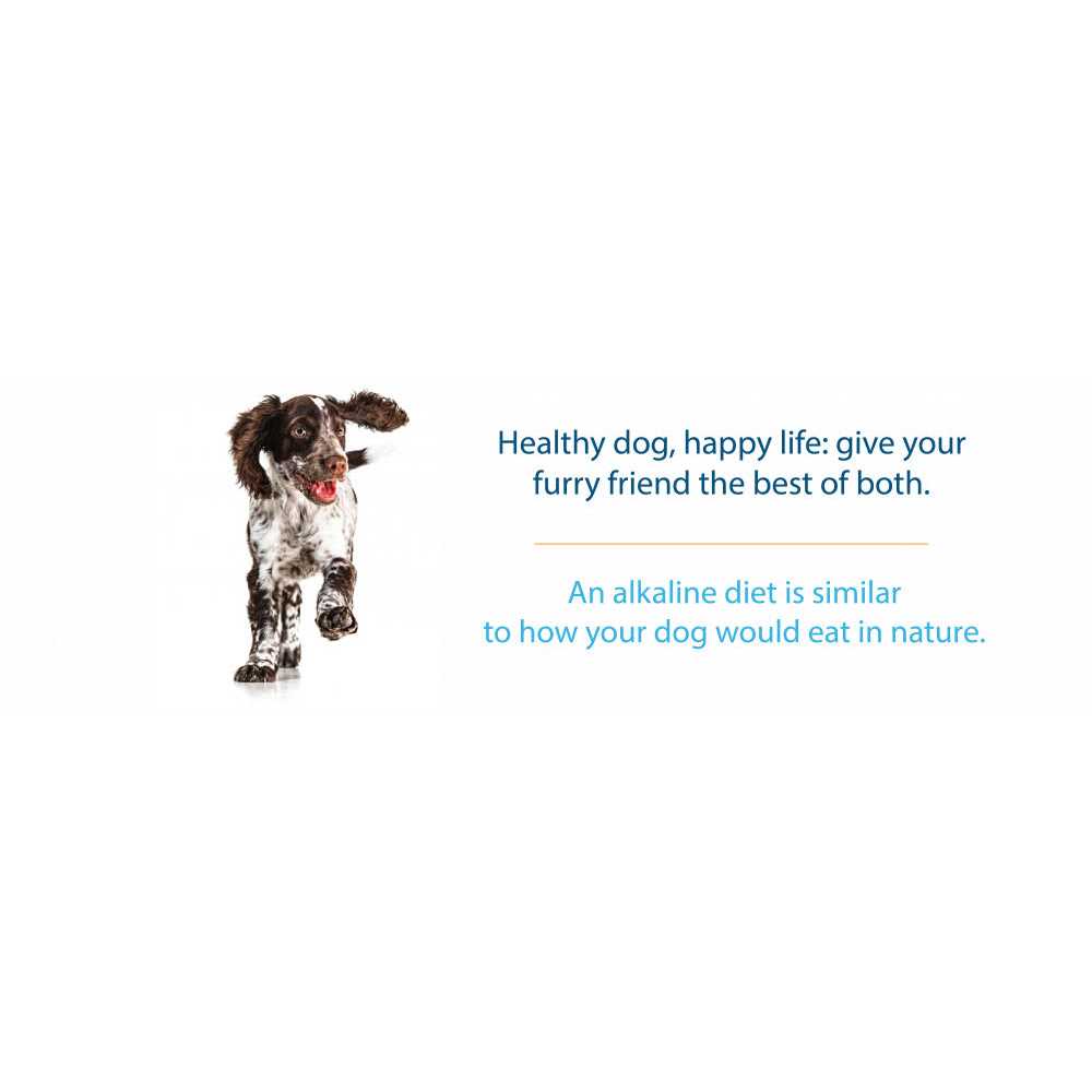 Grain Free Dry Dog Food U65715