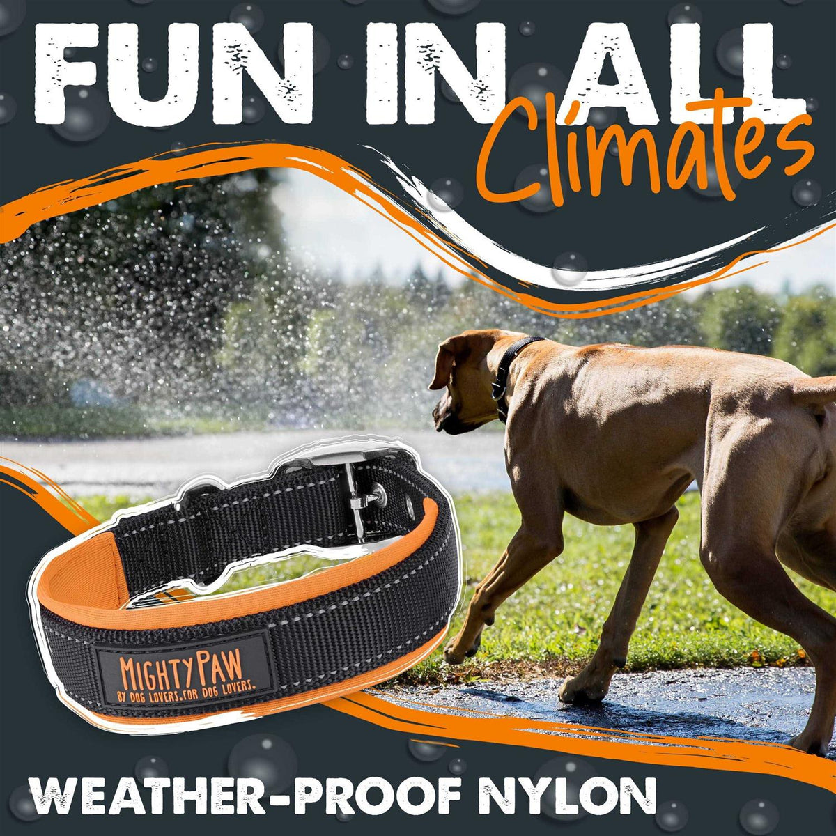 Dog Collar P147