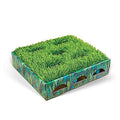 Grass Patch Cat Toy A564