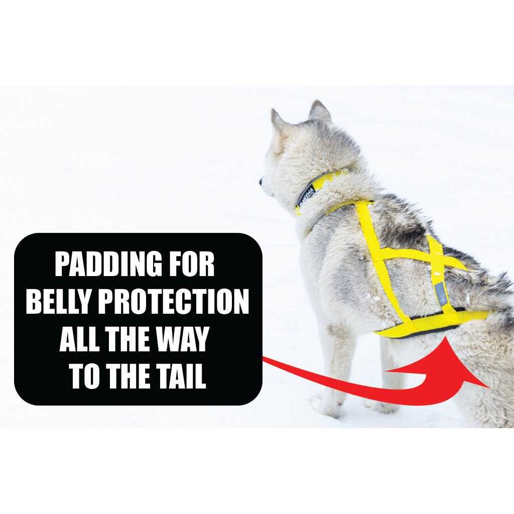 Dog Pulling Harness P49169