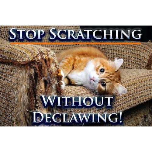 Cat Scratch Deterrent Spray Z24896