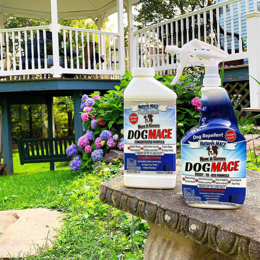 Dog Repellent Z40468