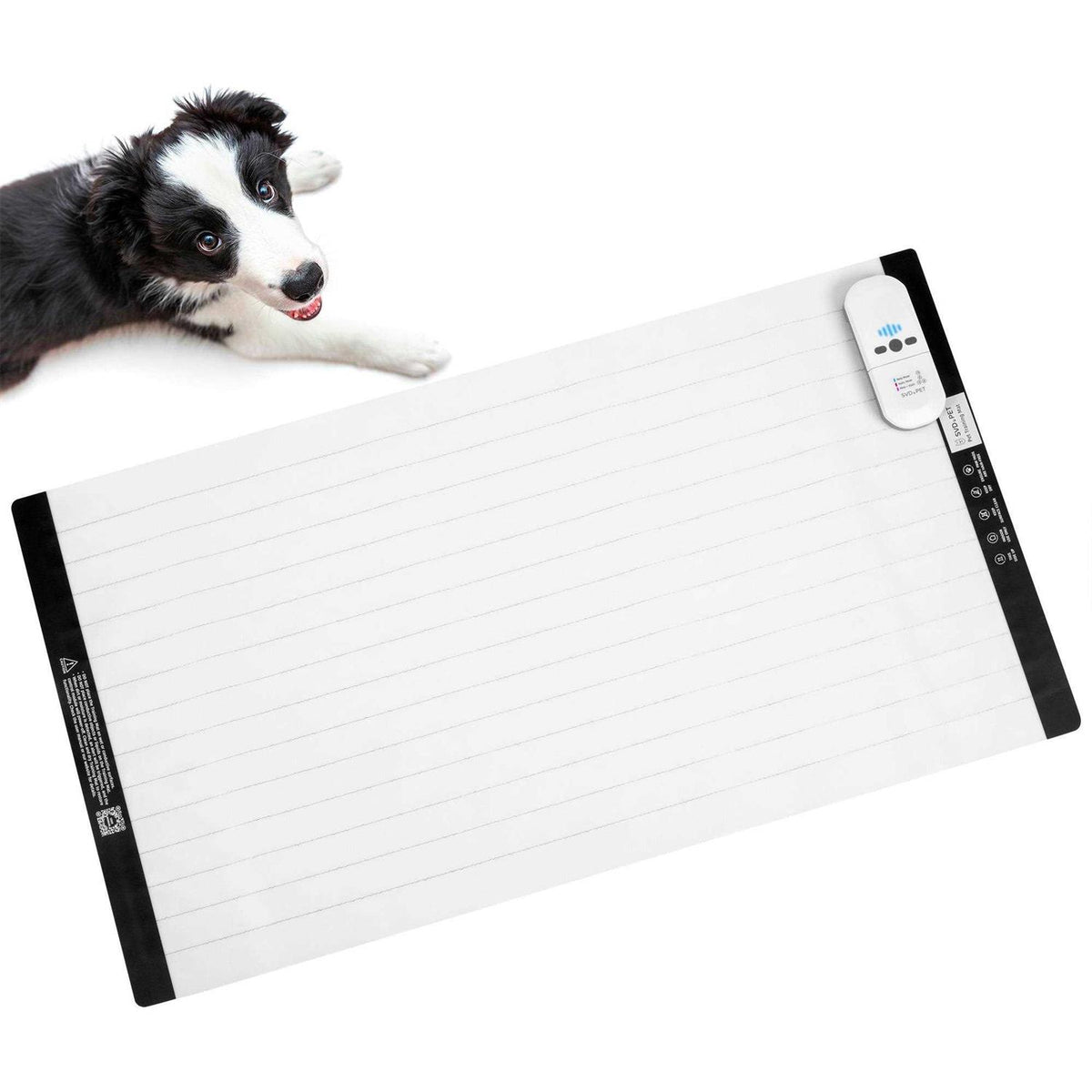 Electronic Training Mat L721