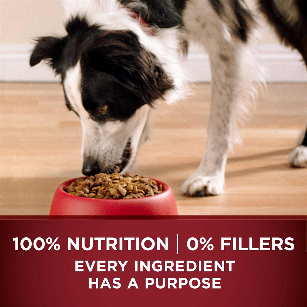 Grain Free Natural Dry Dog Food M940967